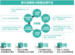 以自动化为核心的自服务大数据治理——普元王轩在第二届数据标准化及治理大会的分享