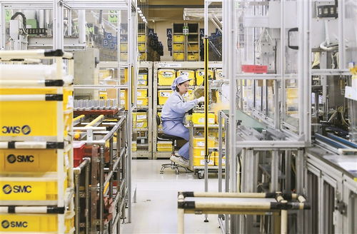 深度关注丨中国市场的磁吸力 数据处理服务的崛起与前景