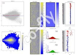 基因表达谱数据分析服务报价 | 北京与翔科飞生物信息科技