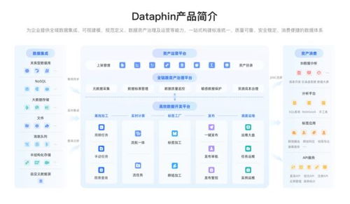 企业数据系统建设 治理价值凸显，2025主流产品与服务全景展望
