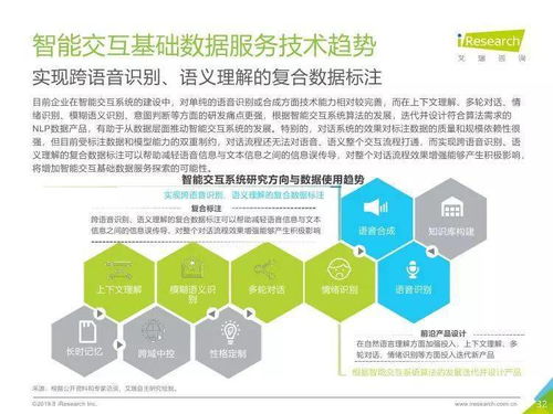 中国人工智能基础数据服务行业报告 数据处理服务的核心价值与演进趋势